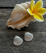 Shell-shaped earrings with a large shell and yellow flower on a wooden surface