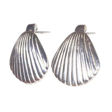 A pair of silver-colored earrings with a shell design.